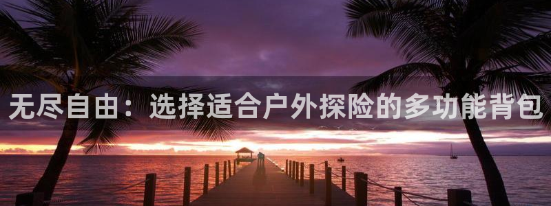 新宝gg游戏登录