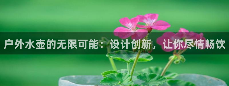 新宝gg奇迹