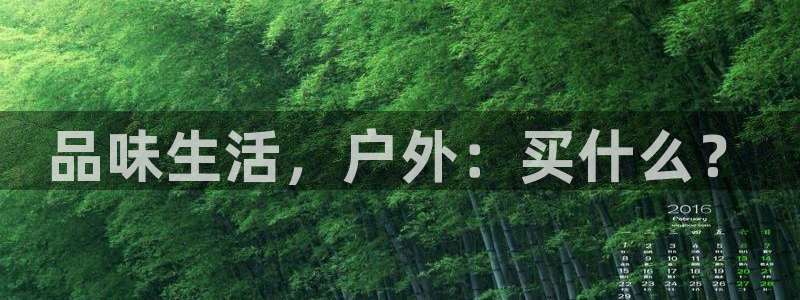 新宝gg娱乐上皇巢网