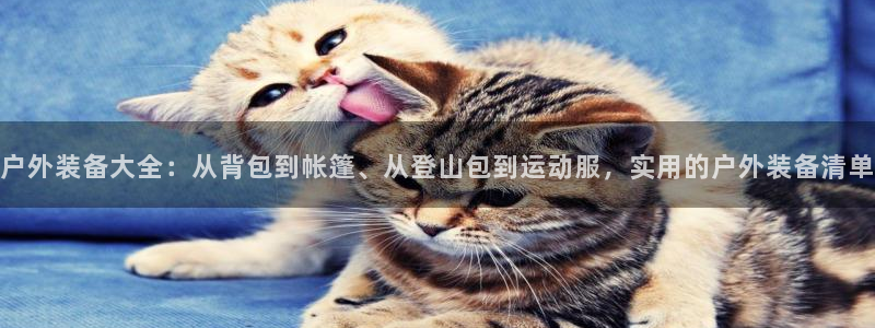 新宝gg平台连接