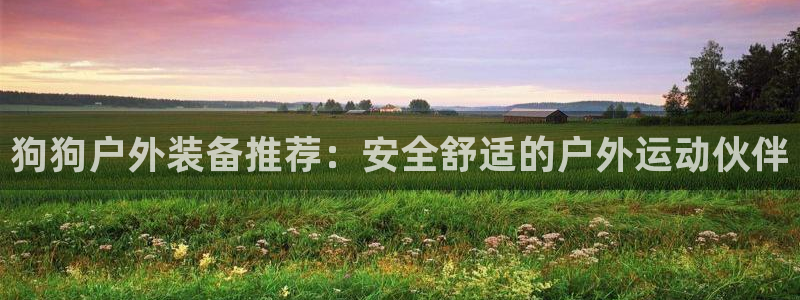 新宝gg娱乐平台