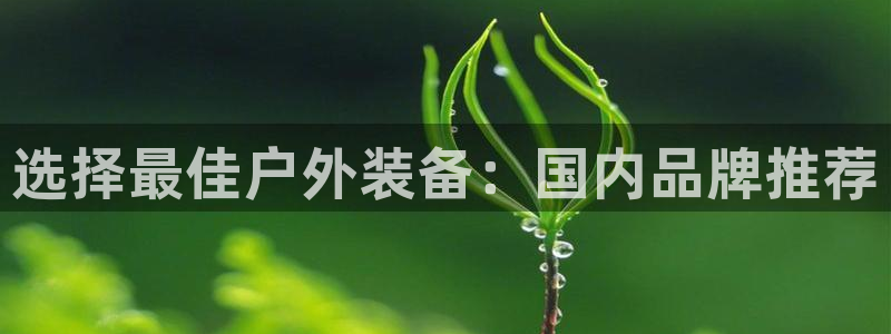 新宝gg创造奇迹平台