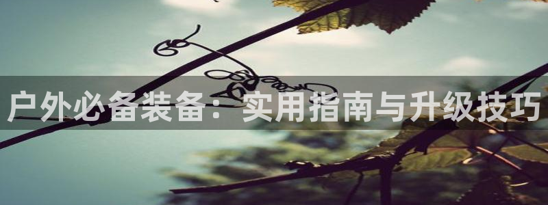新宝GG玩家