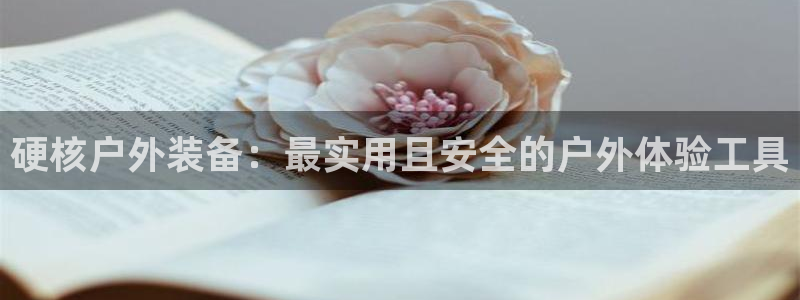 新宝gg如何登录